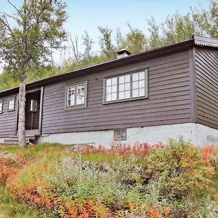 Holiday home 3 Bedroom Amazing In Haugastl Nygard (Buskerud)